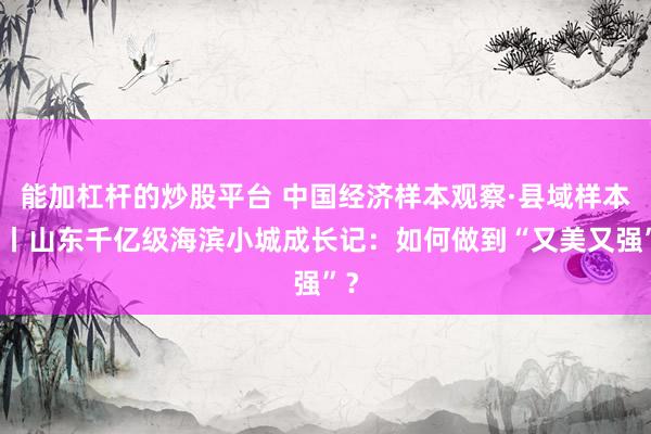 能加杠杆的炒股平台 中国经济样本观察·县域样本篇丨山东千亿级海滨小城成长记：如何做到“又美又强”？