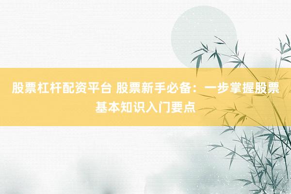 股票杠杆配资平台 股票新手必备：一步掌握股票基本知识入门要点