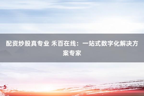 配资炒股真专业 禾百在线：一站式数字化解决方案专家