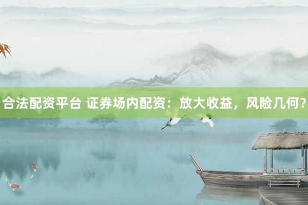 合法配资平台 证券场内配资：放大收益，风险几何？