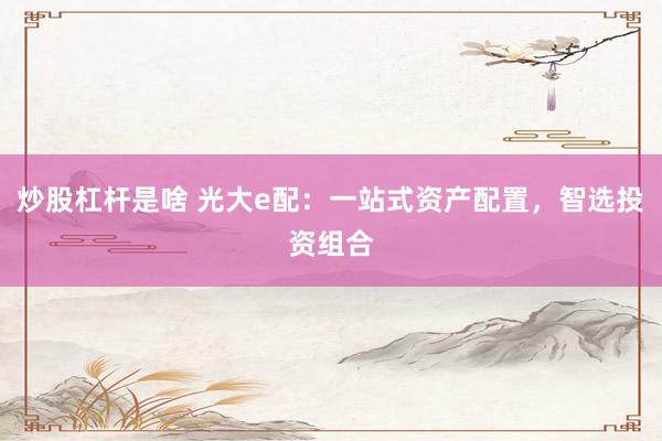 炒股杠杆是啥 光大e配：一站式资产配置，智选投资组合
