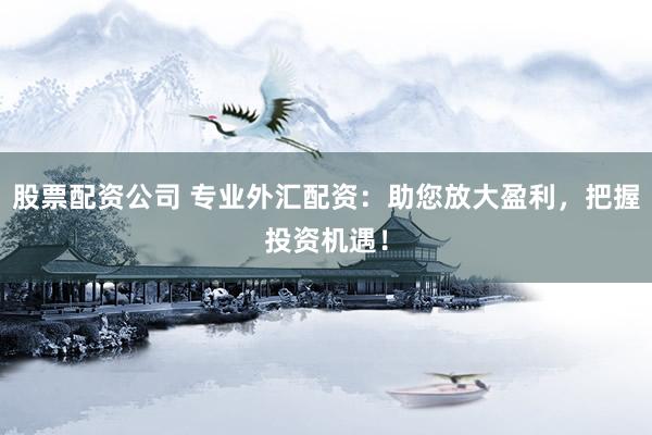 股票配资公司 专业外汇配资：助您放大盈利，把握投资机遇！