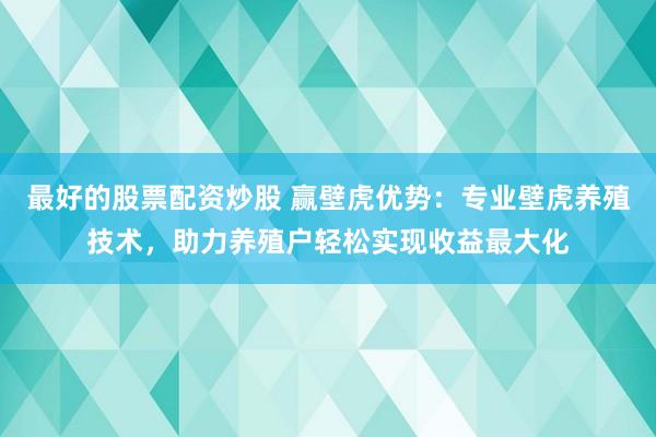 最好的股票配资炒股 赢壁虎优势：专业壁虎养殖技术，助力养殖户轻松实现收益最大化