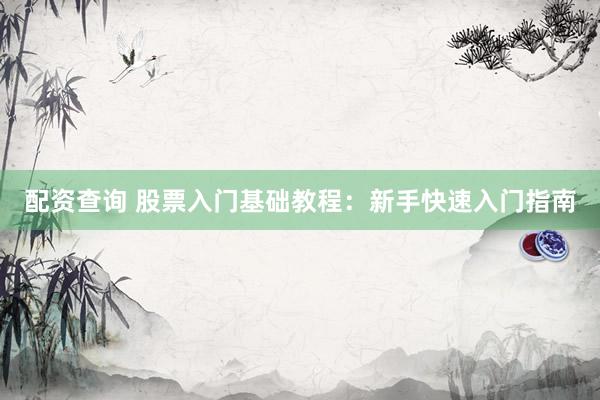 配资查询 股票入门基础教程：新手快速入门指南