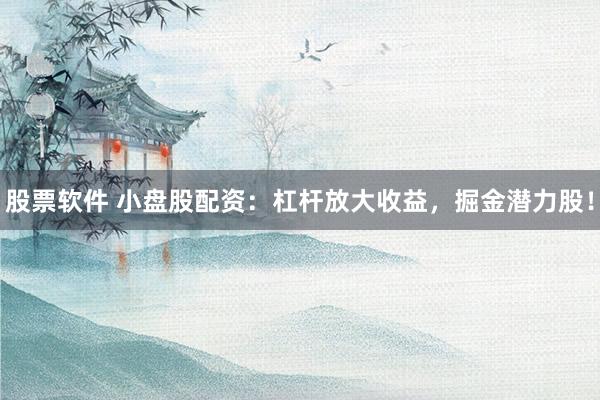 股票软件 小盘股配资：杠杆放大收益，掘金潜力股！