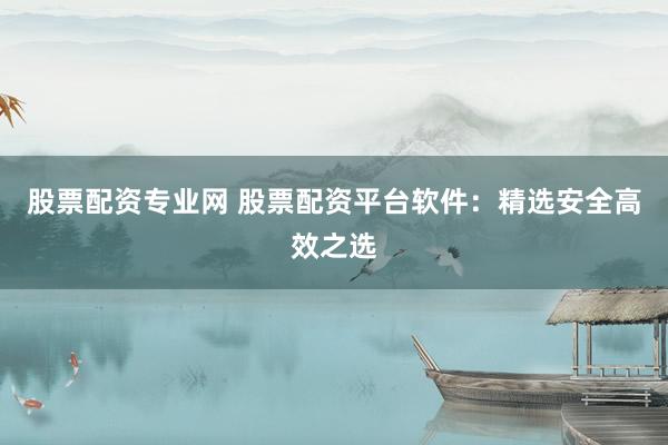 股票配资专业网 股票配资平台软件：精选安全高效之选