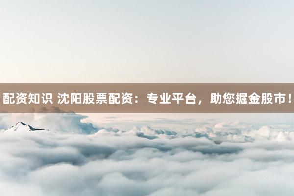 配资知识 沈阳股票配资：专业平台，助您掘金股市！