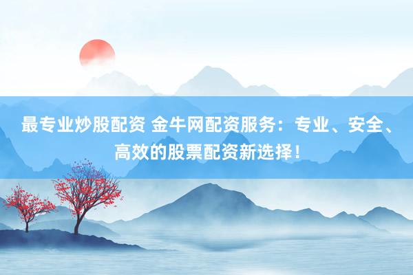 最专业炒股配资 金牛网配资服务：专业、安全、高效的股票配资新选择！