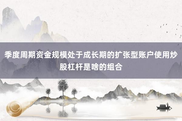 季度周期资金规模处于成长期的扩张型账户使用炒股杠杆是啥的组合