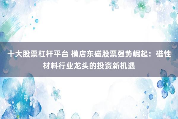 十大股票杠杆平台 横店东磁股票强势崛起:磁性材料行业龙头的投资新机遇