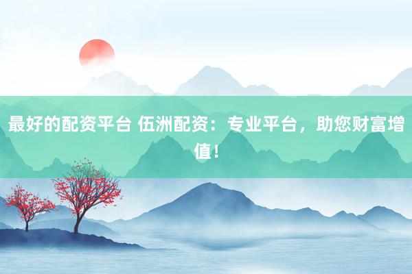 最好的配资平台 伍洲配资：专业平台，助您财富增值！